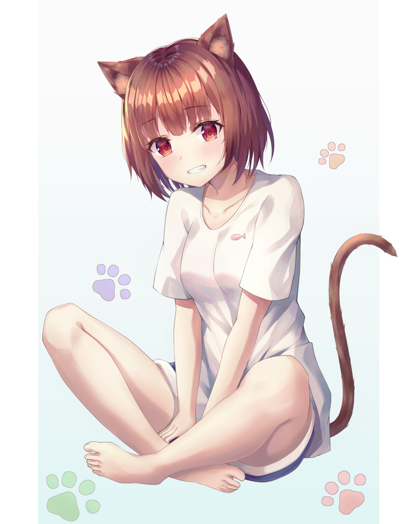 1girl absurdres animal_ears bangs blush breasts brown_hair cat_ears cat_paws cat_tail collarbone commentary_request denim denim_shorts eyebrows_visible_through_hair gyungsin highres looking_at_viewer original paws red_eyes shirt short_hair shorts simple_background sitting small_breasts smile solo tail white_shirt