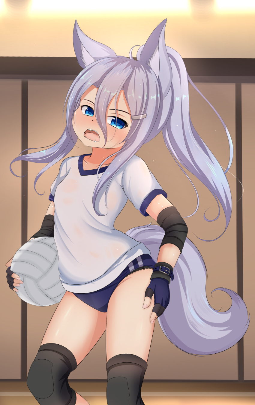 1girl absurdres animal_ear_fluff animal_ears black_gloves black_panties blue_buruma blue_eyes blue_gloves buruma fangs fingerless_gloves fox_ears fox_tail gloves gym_uniform hair_ornament hairclip hand_on_own_thigh highres hotel01 knee_pads long_hair open_mouth original panties panties_under_buruma panty_peek ponytail purple_hair shirt shouting solo tail thighs underwear volleyball white_shirt