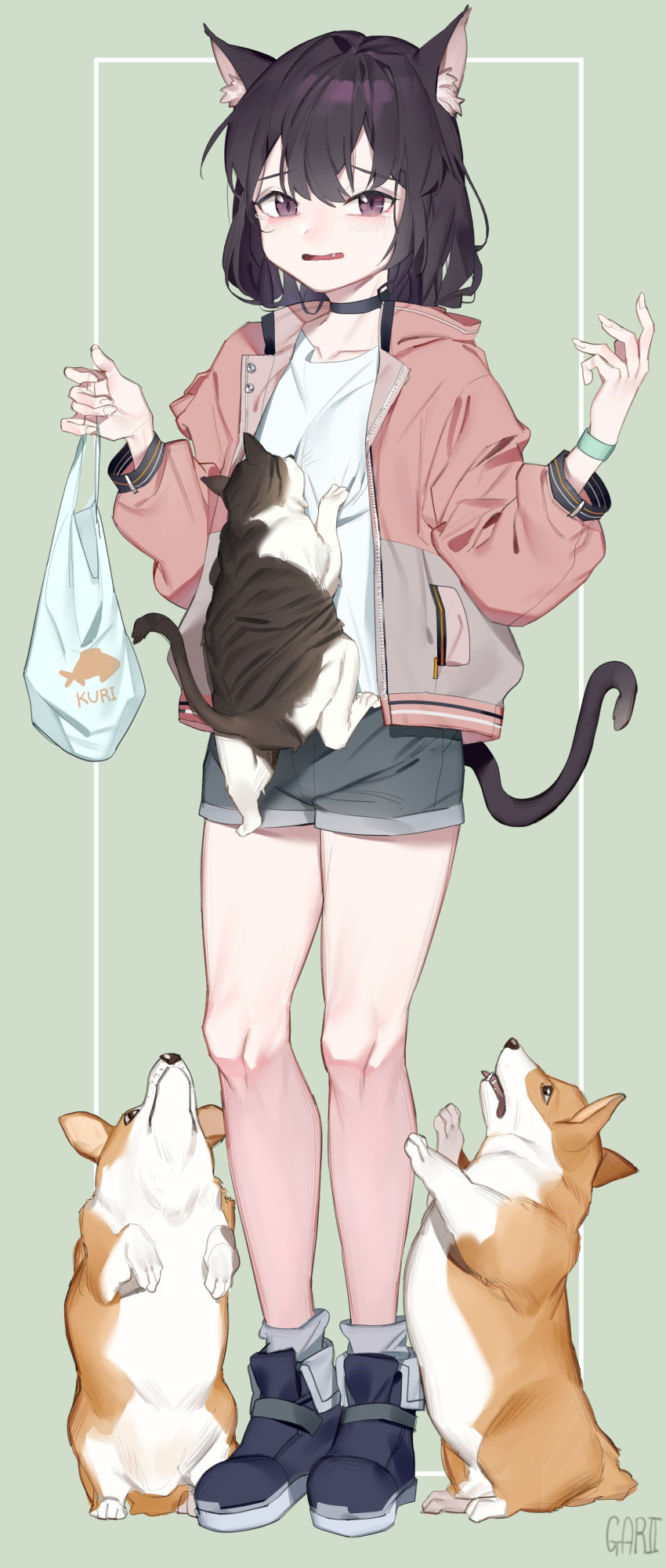 1girl absurdres animal_ear_fluff animal_ears bag black_hair cat cat_ears cat_girl cat_tail choker collarbone dog fang full_body garin highres jacket long_sleeves looking_at_viewer open_clothes open_jacket original shirt short_shorts shorts simple_background standing tail tearing_up white_shirt