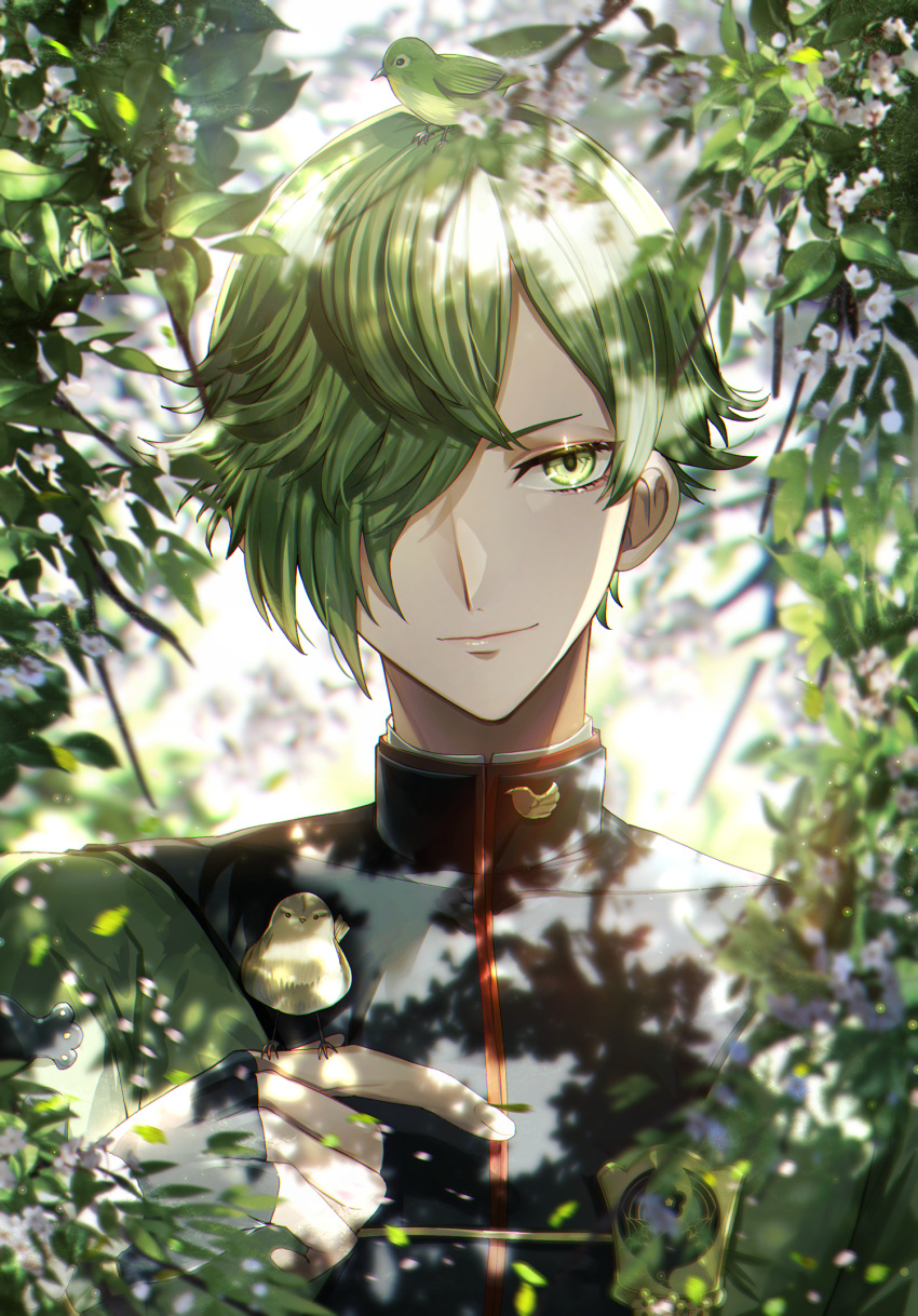 1boy abandon_ranka animal animal_on_head bird bird_on_hand bird_on_head black_gloves blurry branch depth_of_field fingerless_gloves gloves green_eyes green_hair hair_over_one_eye highres leaf male_focus on_head touken_ranbu uguisumaru upper_body