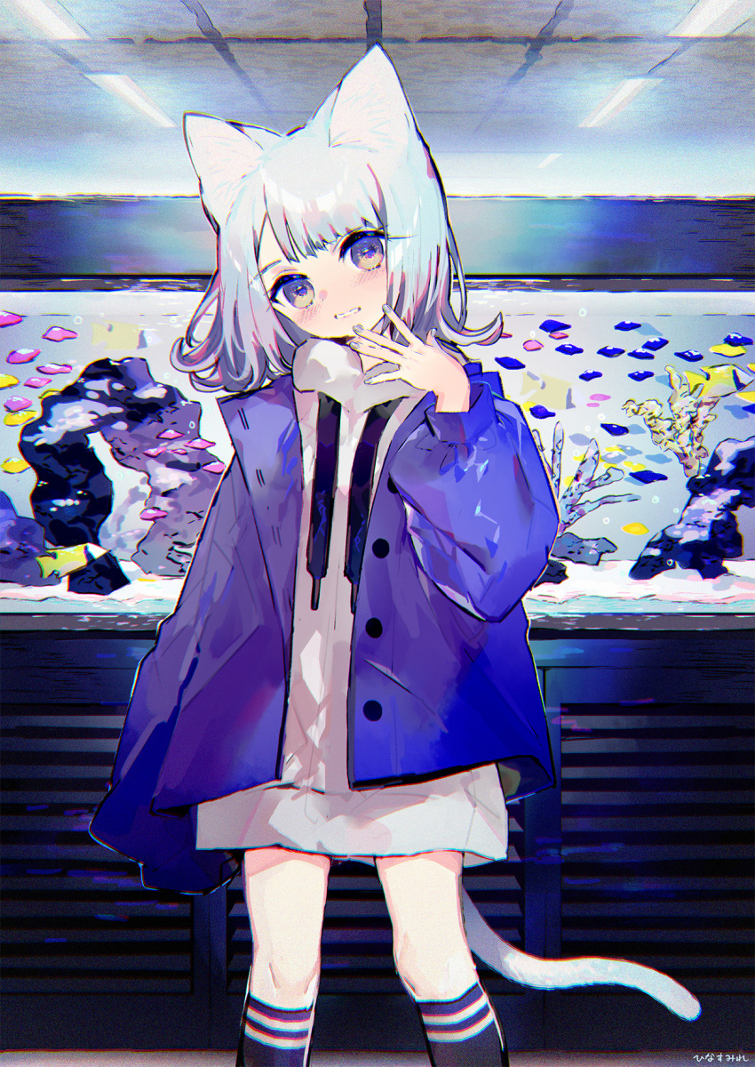 1girl animal_ear_fluff animal_ears black_legwear blush cat_ears cat_girl cat_tail ceiling_light chromatic_aberration commentary_request coral drawstring fish_tank grey_nails hand_up head_tilt highres hinasumire hood hood_down hoodie indoors jacket kneehighs long_sleeves looking_at_viewer nail_polish open_clothes open_jacket original parted_lips puffy_long_sleeves puffy_sleeves purple_jacket signature silver_hair sleeves_past_fingers sleeves_past_wrists solo standing tail tropical_fish violet_eyes white_hoodie