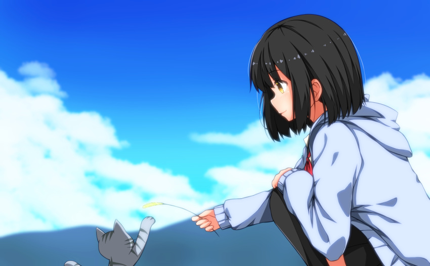 1girl black_hair black_legwear black_skirt blue_sky brown_eyes cat clouds day highres hood hoodie long_sleeves luo_(silence0605) mountainous_horizon original outdoors profile school_uniform short_hair skirt sky solo squatting thigh-highs