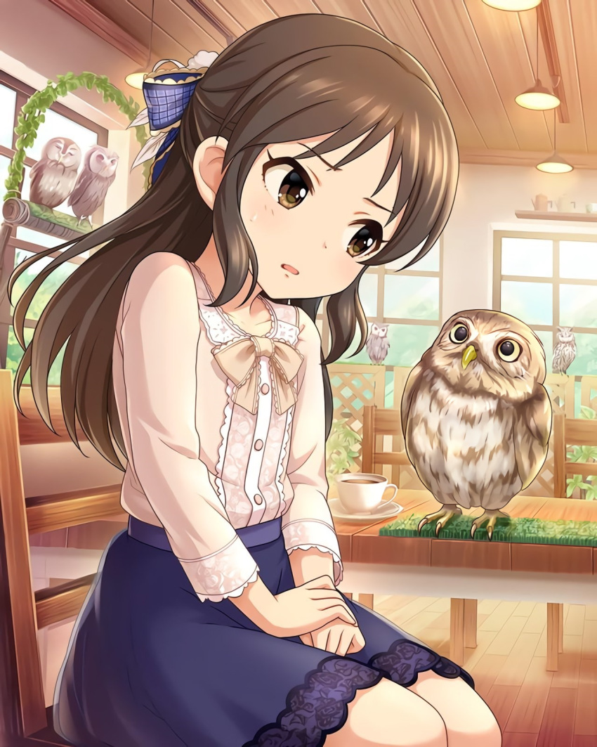 1girl animal bird bow brown_eyes brown_hair chair hair_bow highres idolmaster idolmaster_cinderella_girls indoors knees knees_together long_hair official_art open_mouth owl sitting skirt solo staring staring_contest tachibana_arisu