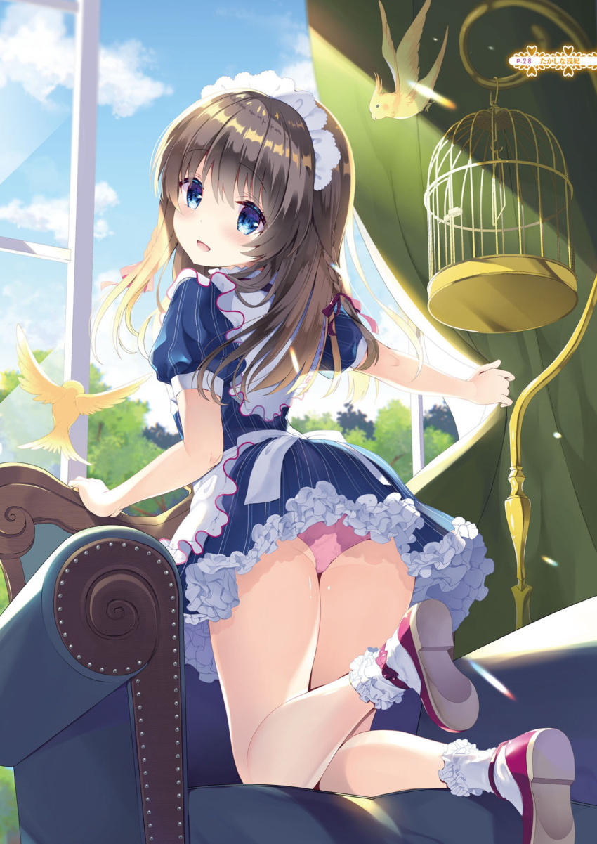 1girl :d absurdres animal apron arm_support armchair ass bangs bird birdcage blue_dress blue_eyes blue_sky blush braid brown_hair cage chair clouds curtains day dress eyebrows_visible_through_hair frilled_apron frilled_legwear frills hair_between_eyes hair_ribbon highres indoors kneeling long_hair looking_at_viewer looking_back maid maid_headdress on_chair open_mouth open_window original outstretched_arm panties pink_panties puffy_short_sleeves puffy_sleeves red_footwear red_ribbon ribbon shoe_soles shoes short_sleeves sky smile socks solo striped takashina_asahi underwear vertical-striped_dress vertical_stripes white_apron white_legwear window