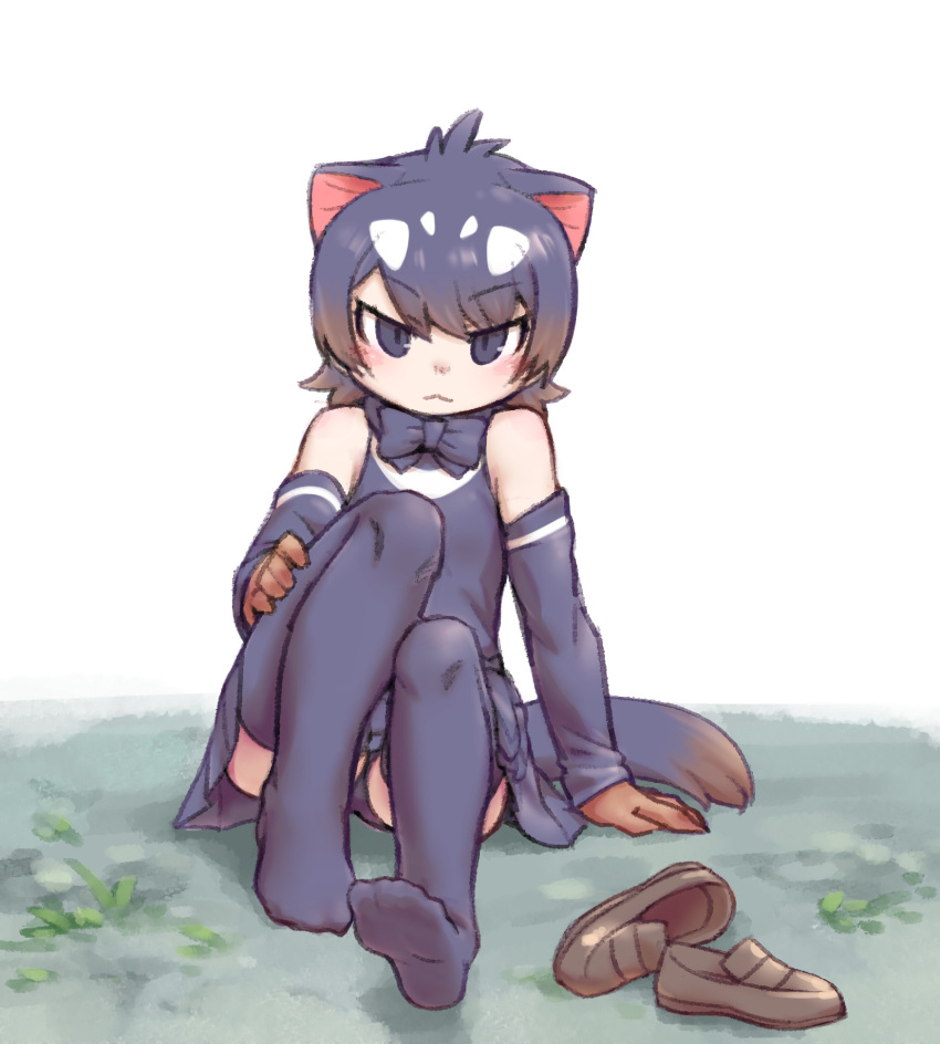 0x0082 1girl :&lt; animal_ears bangs bare_shoulders black_eyes black_hair black_legwear black_neckwear black_panties black_shirt black_skirt bow bowtie brown_footwear brown_hair commentary detached_sleeves eyebrows_visible_through_hair full_body gradient_hair highres kemono_friends looking_at_viewer medium_hair multicolored_hair on_ground panties pantyshot pleated_skirt shirt shoes shoes_removed sitting skirt solo tail tasmanian_devil_(kemono_friends) tasmanian_devil_ears tasmanian_devil_tail thigh-highs underwear