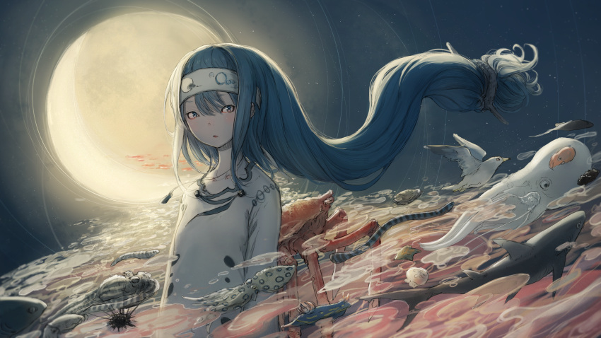 1girl absurdres bangs bird blue_eyes blue_hair commentary_request creature floating floating_hair floating_object flock full_moon highres jewelry long_hair long_sleeves looking_at_viewer low-tied_long_hair moon necklace night night_sky original pendant shark sky squid upper_body very_long_hair vocaloid whale youkai yumi_kozui yushika