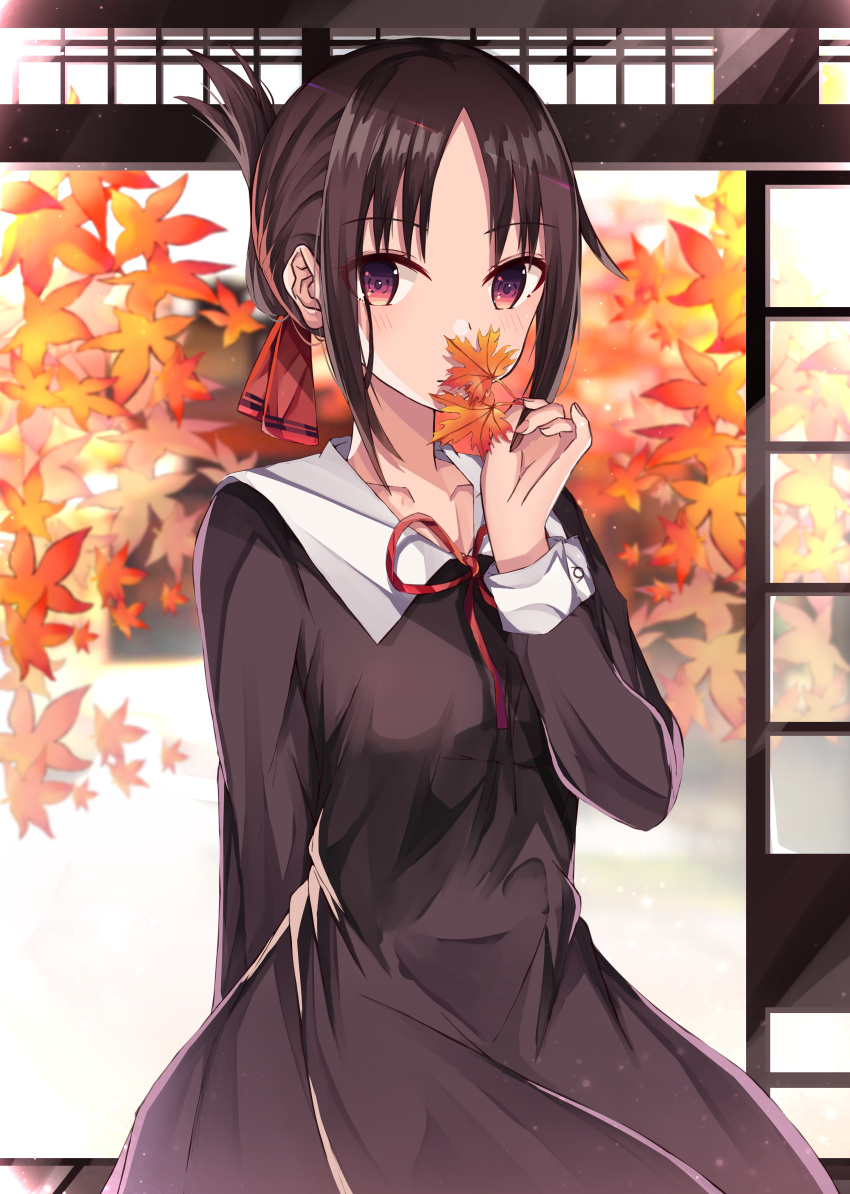 1girl absurdres arm_behind_back autumn autumn_leaves bangs black_dress blush closed_mouth covering_mouth cowboy_shot dress eyebrows_visible_through_hair folded_ponytail hair_ribbon highres holding holding_leaf indoors kaguya-sama_wa_kokurasetai_~tensai-tachi_no_renai_zunousen~ leaf long_sleeves maple_leaf neck_ribbon norazura parted_bangs red_eyes red_neckwear red_ribbon ribbon shinomiya_kaguya short_hair sidelocks solo