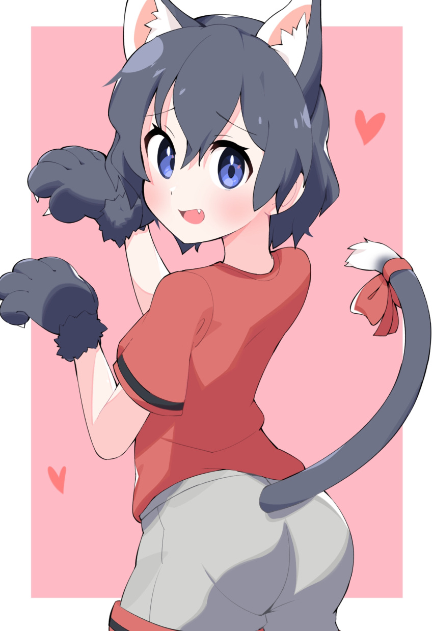 1girl animal_ears black_hair blue_eyes blush cat_ears cat_tail claw_pose commentary fang from_behind gloves grey_shorts heart highres kaban_(kemono_friends) kemono_friends kemonomimi_mode looking_at_viewer looking_back open_mouth outside_border paw_gloves paws pink_background red_ribbon red_shirt ribbon shirt short_hair short_sleeves shorts smile solo t-shirt tail tail_ribbon takosuke0624 wavy_hair