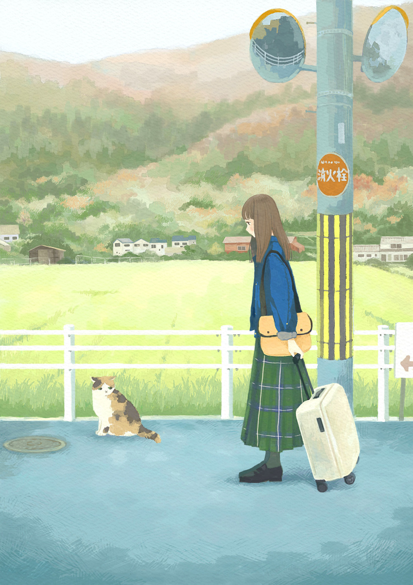 1girl absurdres animal bag black_footwear blue_shirt brown_hair building calico cat commentary_request day field from_side green_skirt highres inoue_haruka_(haruharu210) long_hair long_skirt looking_at_animal manhole_cover original outdoors plaid plaid_skirt road shirt shoes shoulder_bag skirt solo standing street suitcase traffic_mirror
