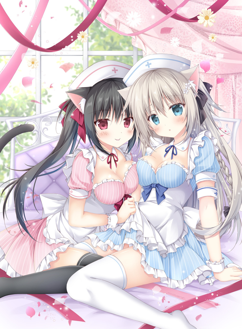 2girls :o :p animal_ears apron armband bangs black_bow black_hair black_legwear blue_dress blue_eyes blush bow breasts cat_ears cat_tail closed_mouth commentary_request dog_ears dress eyebrows_visible_through_hair flower frilled_apron frilled_dress frills hair_between_eyes hair_bow hat highres korie_riko light_brown_hair long_hair medium_breasts multiple_girls nurse_cap original parted_lips petals pink_dress puffy_short_sleeves puffy_sleeves red_eyes short_sleeves sitting smile striped tail thigh-highs tongue tongue_out twintails vertical-striped_dress vertical_stripes very_long_hair wariza white_apron white_flower white_headwear white_legwear wrist_cuffs