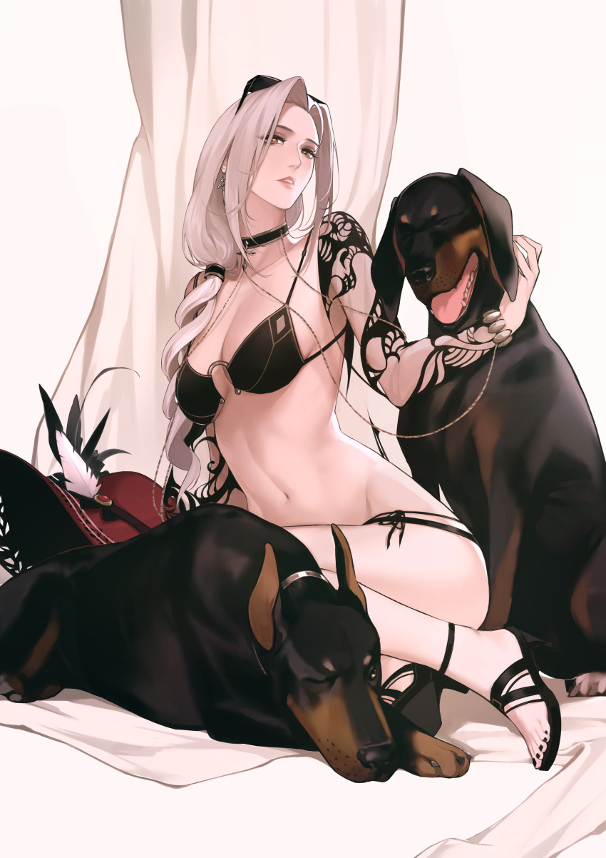 1girl absurdres bikini_top black_bikini_top black_footwear black_nails bracelet breasts brown_eyes carmilla_(fate/grand_order) carmilla_(swimsuit_rider)_(fate) choker commentary_request detached_sleeves dog earrings eyelashes eyewear_on_head fate/grand_order fate_(series) full_body hat head_tilt headwear_removed high_heels highres jewelry long_hair looking_at_viewer looking_to_the_side medium_breasts midriff nail_polish navel parted_lips petting ponytail red_headwear reroi sandals see-through shiny shiny_hair sidelocks silver_hair simple_background sitting sunglasses toes white_background