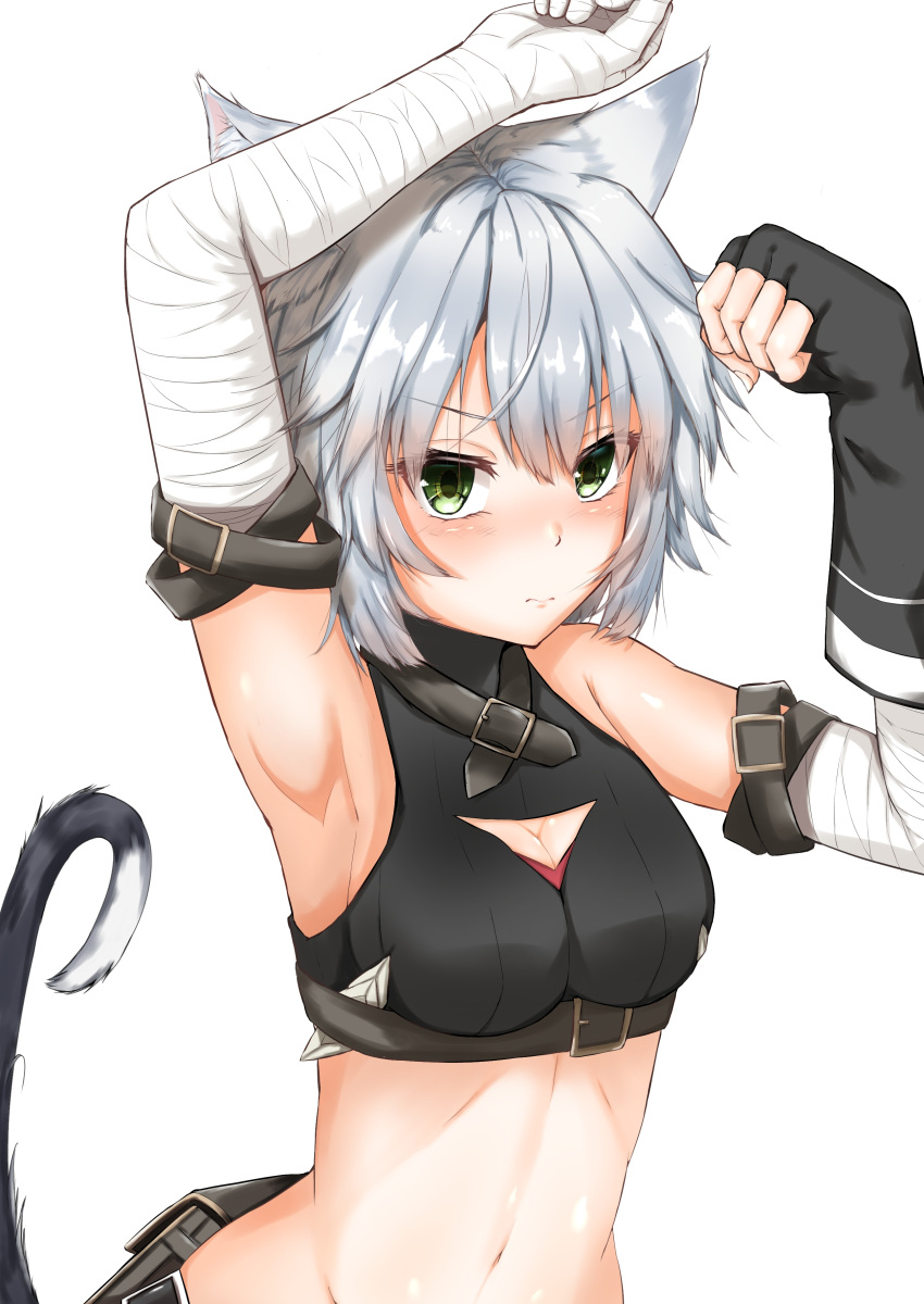 1girl absurdres animal_ears armpits bandaged_arm bandages bangs bare_shoulders breasts cat_ears cat_tail commentary_request eyebrows_visible_through_hair fate/grand_order fate_(series) fingerless_gloves frown gloves green_eyes hair_between_eyes highres jack_the_ripper_(fate/apocrypha) kisaragi_yaya looking_at_viewer medium_breasts navel scar short_hair silver_hair simple_background solo tail upper_body white_background