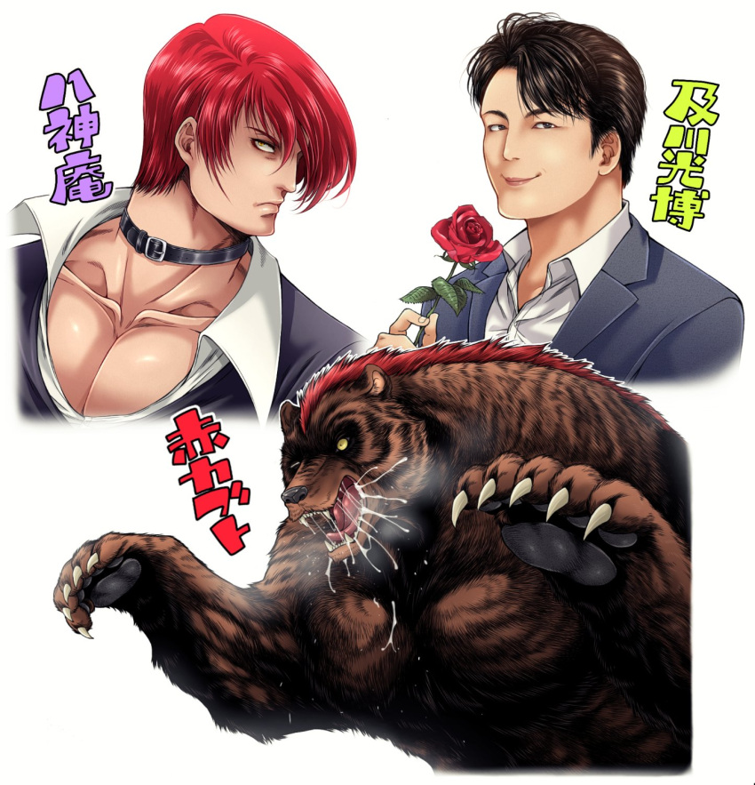 2boys bear black_hair brown_fur character_request choker claws flower highres looking_at_viewer miru_(mill_36) multiple_boys redhead rose the_king_of_fighters white_background yagami_iori