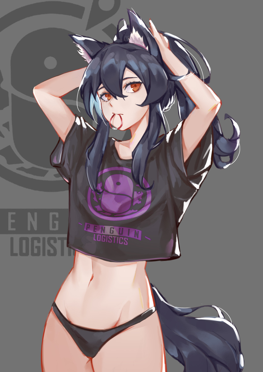 1girl absurdres alternate_hairstyle animal_ear_fluff animal_ears arknights arms_up bangs black_hair black_panties black_shirt commentary cowboy_shot crop_top grey_background groin hair_between_eyes hair_tie hair_tie_in_mouth highres jiushijiu long_hair looking_at_viewer midriff mouth_hold navel panties ponytail red_eyes shirt short_sleeves sidelocks simple_background solo standing stomach t-shirt tail texas_(arknights) tying_hair underwear wolf_ears wolf_tail