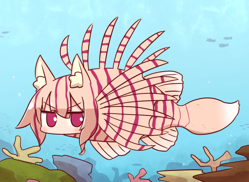 1girl animal animal_ear_fluff animal_ears animal_request animalization bangs blush brown_hair commentary_request coral eyebrows_visible_through_hair fish fox_ears fox_tail hair_between_eyes kemomimi-chan_(naga_u) long_hair looking_at_viewer naga_u original red_eyes sidelocks solo tail underwater v-shaped_eyebrows water