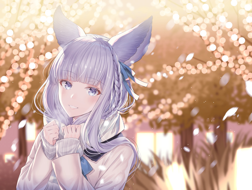 1girl animal_ear_fluff animal_ears bangs blue_ribbon blurry blurry_background braid commentary_request depth_of_field erune eyebrows_visible_through_hair fringe_trim granblue_fantasy grey_eyes grey_scarf hair_ribbon hands_up jacket korwa long_hair long_sleeves looking_at_viewer myusha parted_lips ribbon scarf silver_hair sleeves_past_wrists solo tree upper_body white_jacket