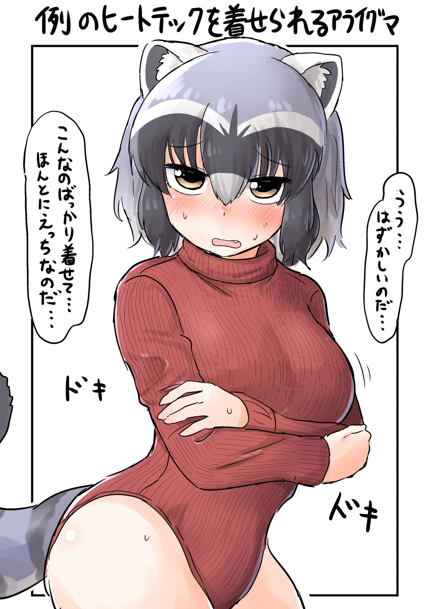 1girl absurdres animal_ears araiguma bangs black_border black_hair blush border commentary_request common_raccoon_(kemono_friends) crossed_arms eyebrows_visible_through_hair fang frown grey_hair half-closed_eyes highres kemono_friends leaning_forward leotard looking_at_viewer motion_lines ngetyan open_mouth raccoon_ears raccoon_tail red_leotard ribbed_sweater short_hair simple_background solo standing striped_tail sweat sweater tail translation_request turtleneck_leotard white_background