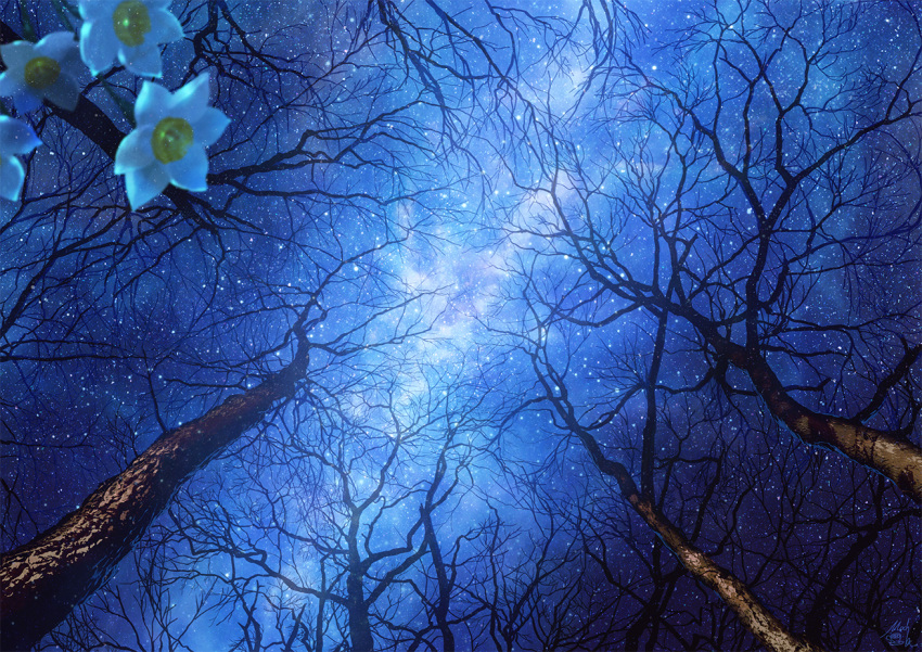 bare_tree blurry blurry_foreground commentary_request depth_of_field flower mocha_(cotton) night night_sky no_humans original outdoors scenery sky star_(sky) starry_sky tree white_flower