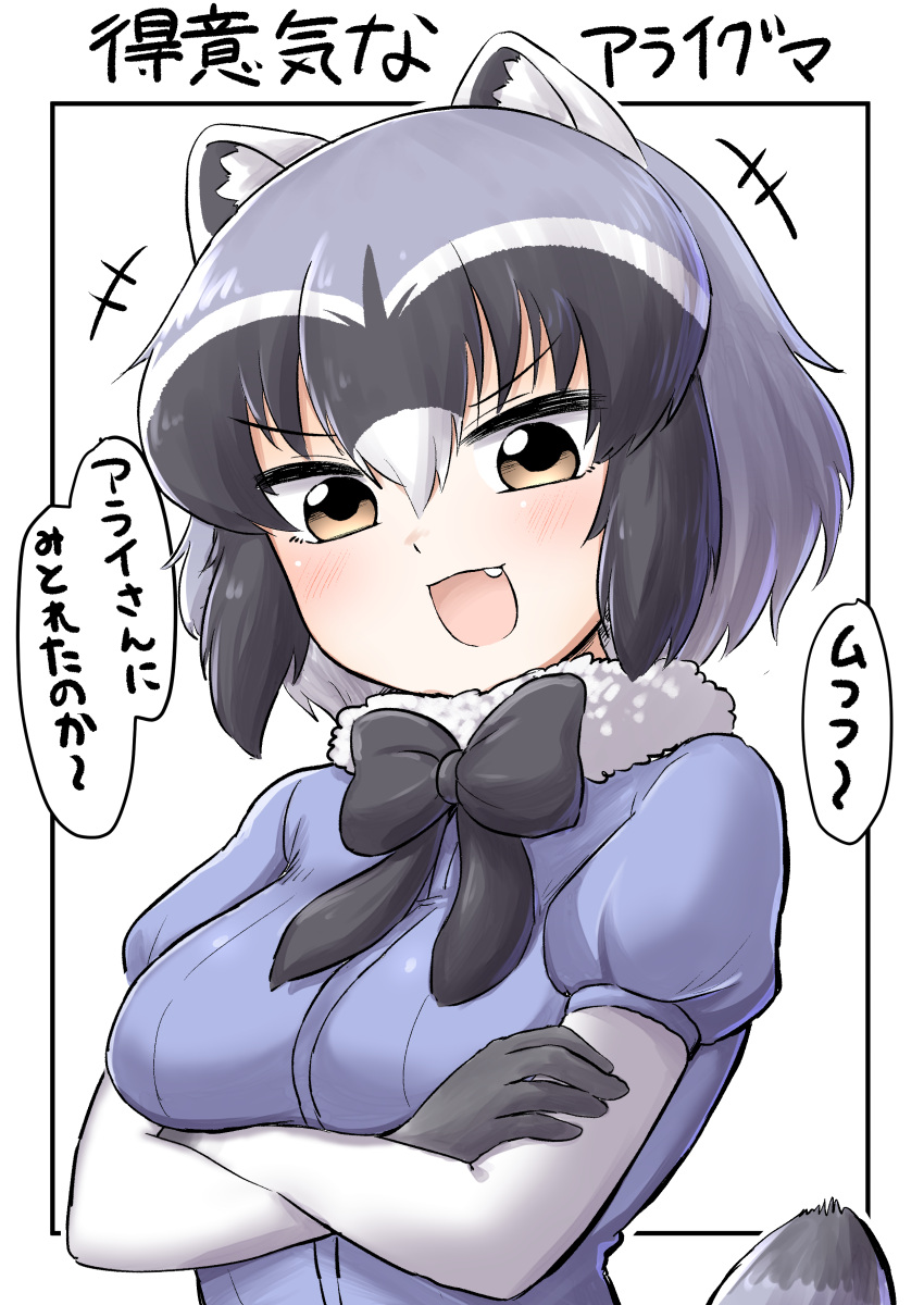 +++ 1girl absurdres animal_ears black_border black_neckwear blue_shirt bodystocking border bow bowtie commentary_request common_raccoon_(kemono_friends) eyebrows_visible_through_hair fang fur_collar grey_hair highres kemono_friends looking_at_viewer multicolored_hair ngetyan open_mouth raccoon_ears raccoon_tail shirt short_hair short_sleeves smirk solo tail translation_request upper_body