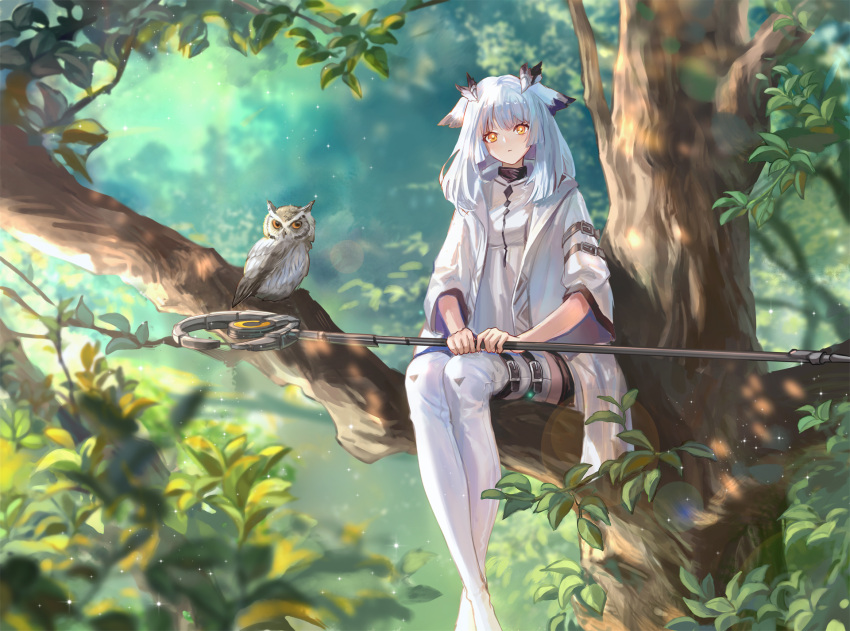 1girl achyue animal arknights bangs belt bird blue_hair blurry bokeh boots crossed_ankles day depth_of_field dress hair_flaps highres holding holding_staff in_tree jacket light_particles long_hair looking_at_viewer nature orange_eyes owl ptilopsis_(arknights) sidelocks sitting staff thigh-highs thigh_boots thigh_strap tree turtleneck white_dress white_footwear white_jacket