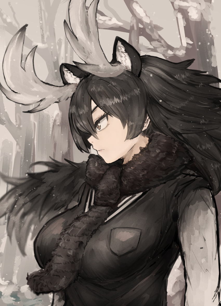1girl adeshi_(adeshi0693119) animal_ear_fluff animal_ears antlers arms_at_sides black_hair breast_pocket day extra_ears floating_hair from_side fur_scarf grey_eyes highres kemono_friends long_hair long_sleeves moose_(kemono_friends) moose_ears outdoors parted_lips pocket profile scarf serious sidelocks snow snowing solo sweater upper_body