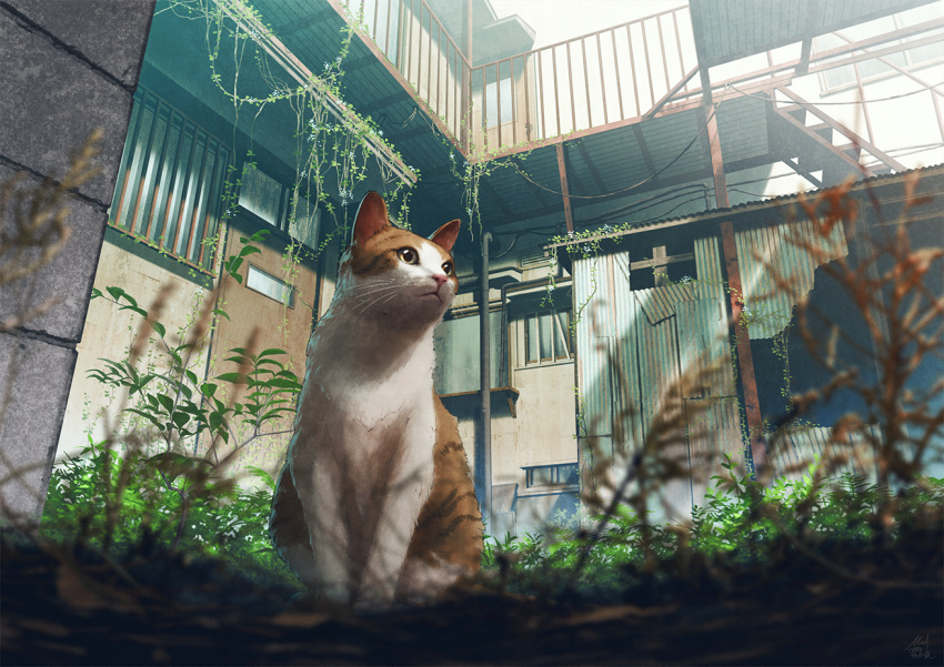 animal animal_focus blurry blurry_foreground building cat commentary_request day depth_of_field door grass looking_away mocha_(cotton) no_humans original outdoors overgrown plant scenery signature sunlight vines