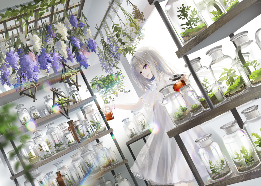 1girl blurry blurry_foreground commentary_request depth_of_field dress dutch_angle flower holding indoors lace lace-trimmed_dress long_hair looking_away naruse_chisato original parted_lips plant purple_flower see-through shelf short_sleeves silver_hair solo standing transparent violet_eyes white_dress white_flower