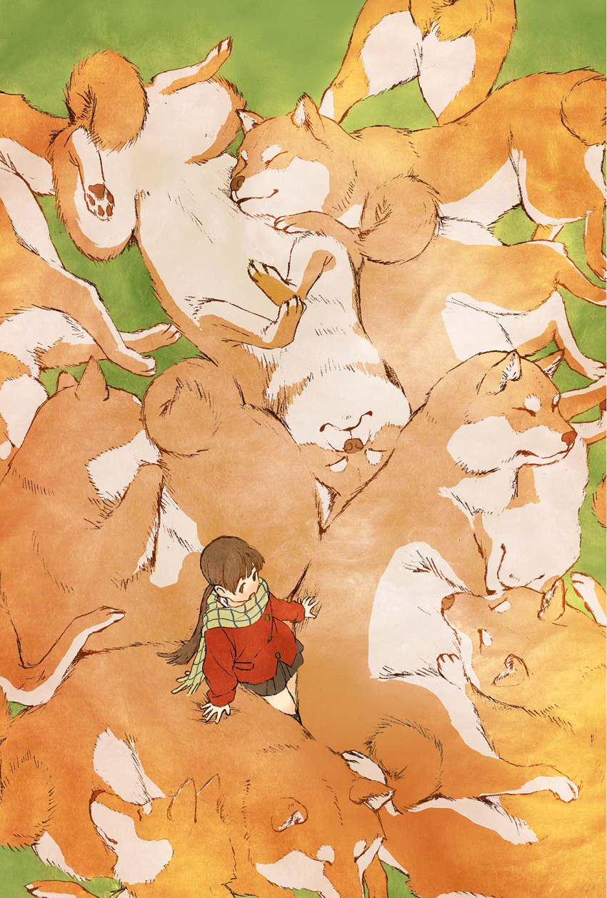 1girl animal bare_legs brown_eyes brown_hair brown_skirt coat commentary_request dog from_above grass green_scarf highres long_hair open_mouth original outdoors oversized_animal paws pleated_skirt ponytail red_coat scarf shiba_inu shiki_haru size_difference skirt solo wide_shot winter_clothes