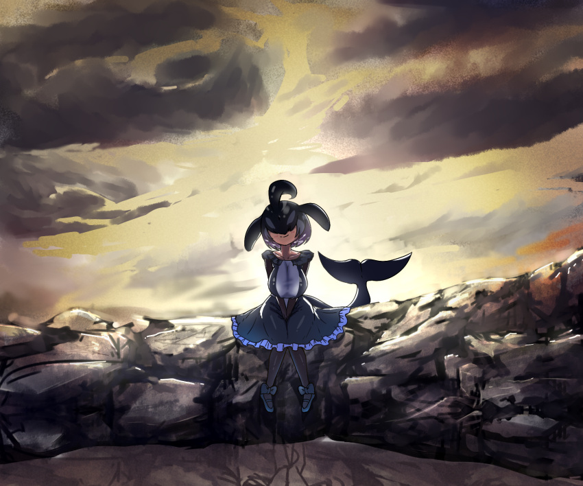 1girl backlighting bauncer black_hair closed_mouth clouds collarbone commentary_request covered_eyes dolphin_tail dorsal_fin dress facing_viewer frilled_dress frills full_body grey_hair hair_over_eyes head_fins head_tilt highres kemono_friends knees_together_feet_apart long_sleeves medium_dress multicolored_hair orca_(kemono_friends) outdoors pantyhose purple_hair sitting sky smile solo tail twilight v_arms
