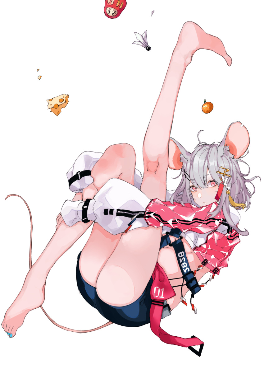 1girl absurdres ahoge animal_ears ass barefoot black_shorts breasts cheese crop_top expressionless food fruit full_body grey_hair hair_between_eyes hair_ornament hairclip highres jacket leg_hug leg_up long_sleeves looking_at_viewer mandarin_orange medium_breasts midriff mouse_ears mouse_tail original red_eyes sas_(ls08b) short_hair short_shorts shorts shuttlecock simple_background solo strap tail thighs two-tone_jacket under_boob white_background