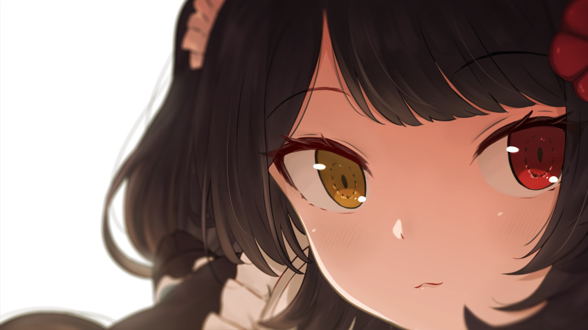 1girl :3 bangs black_hair blurry close-up commentary_request depth_of_field eyebrows_visible_through_hair face flower hair_flower hair_ornament heterochromia highres inui_toko maid_headdress nijisanji red_eyes short_hair simple_background solo white_background yanoynk yellow_eyes