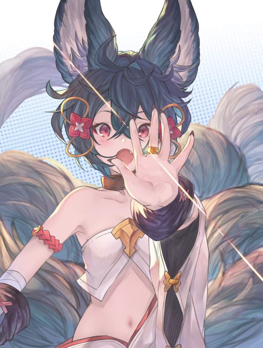 1girl animal_ears bandages bangs bare_shoulders betabeet blue_hair blush collar collarbone english_commentary erune eyebrows_visible_through_hair fang fingernails fox_ears fox_girl fox_tail granblue_fantasy hair_ornament highres jewelry large_tail long_fingernails multiple_tails navel open_mouth outstretched_arm outstretched_hand red_eyes ring short_hair solo standing tail you_(granblue_fantasy)