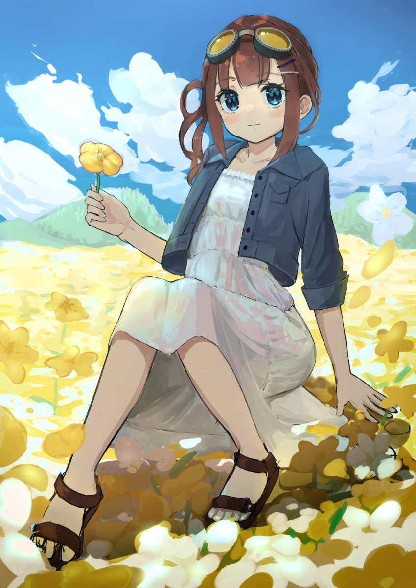 1girl blue_eyes blue_jacket blue_sky blush brown_footwear brown_hair clouds cloudy_sky collarbone commentary_request day dress eyewear_on_head field flower flower_field full_body goggles hair_ornament hairclip highres holding holding_flower jacket long_skirt original outdoors sandals sitting skirt sky smile tumoha white_dress yellow_flower