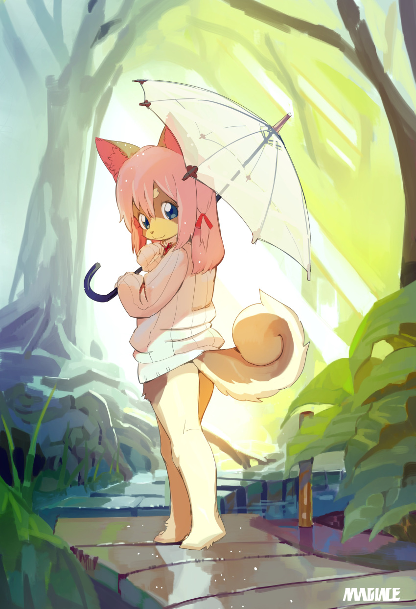 1girl absurdres animal_ear_fluff animal_ears barefoot blue_eyes dog_ears dog_tail forest from_behind full_body furry hand_to_own_mouth highres kneepits legs looking_back magiace nature no_pants original outdoors pink_hair short_hair smile solo sweater tail tree umbrella white_sweater