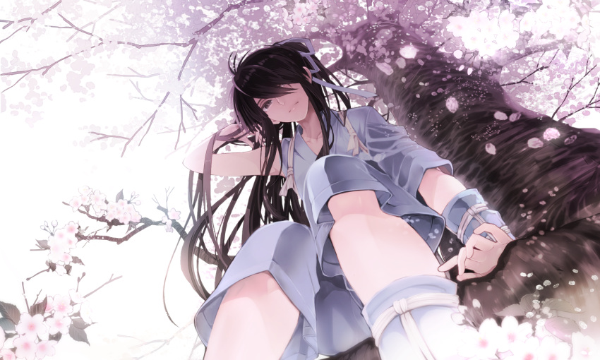 1boy androgynous arm_support backlighting bangs black_eyes black_hair bloom blue_footwear blue_pants blue_shirt branch cherry_blossoms commentary_request drifters eyelashes feet_out_of_frame foreshortening from_below fujiwara_riyu hair_between_eyes hair_over_one_eye hair_ribbon japanese_clothes long_hair looking_at_viewer nasu_no_yoichi outdoors pants petals ribbon shirt single_sleeve sitting solo swept_bangs tree tree_branch white_background