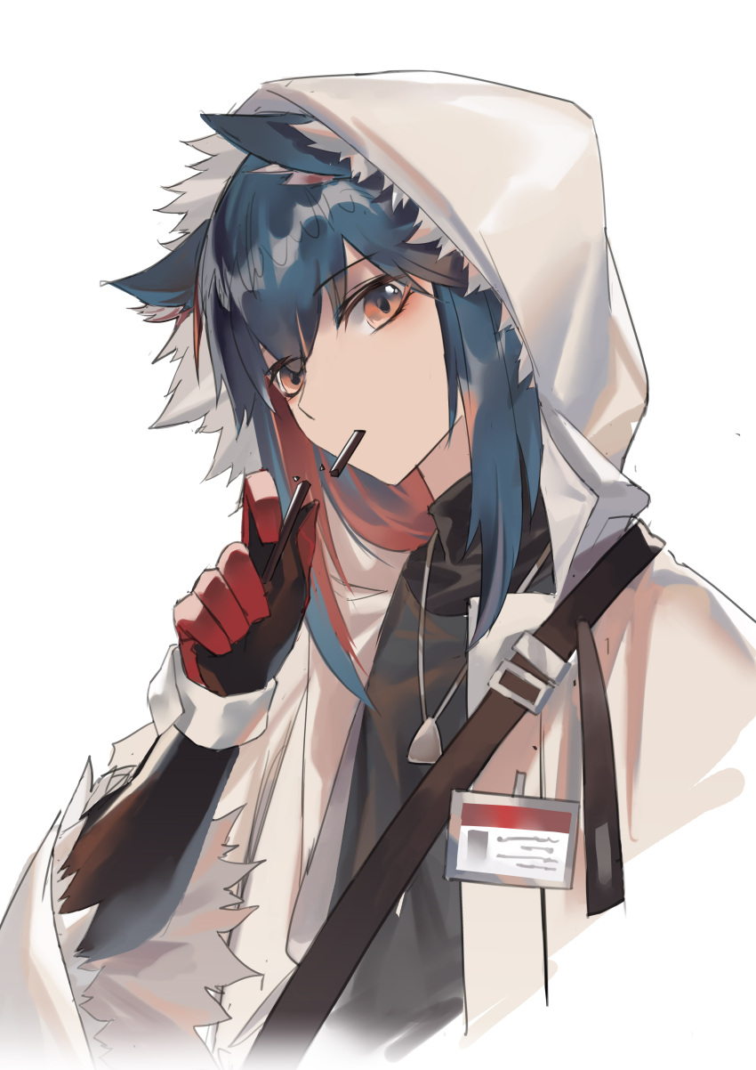 1girl absurdres animal_ear_fluff animal_ears arknights bangs black_shirt blue_hair brown_eyes chinese_commentary commentary_request cropped_torso dog_tags eyebrows_visible_through_hair fur_trim gloves hand_up head_tilt highres hood hooded_jacket jacket jiji_(pixiv10646874) long_hair long_sleeves looking_at_viewer mouth_hold multicolored_hair name_tag open_clothes open_jacket redhead shirt simple_background solo texas_(arknights) upper_body white_background white_jacket wide_sleeves wolf_ears