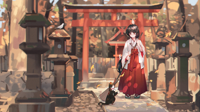 1girl alzi_xiaomi animal animal_on_head autumn bangs bird bird_on_head black_cat black_hair broom brown_eyes cat closed_mouth commentary_request dappled_sunlight eyebrows_visible_through_hair full_body hair_between_eyes highres holding holding_broom japanese_clothes kimono leaf long_hair long_sleeves miko on_head original pigeon smile socks standing sunlight white_bird