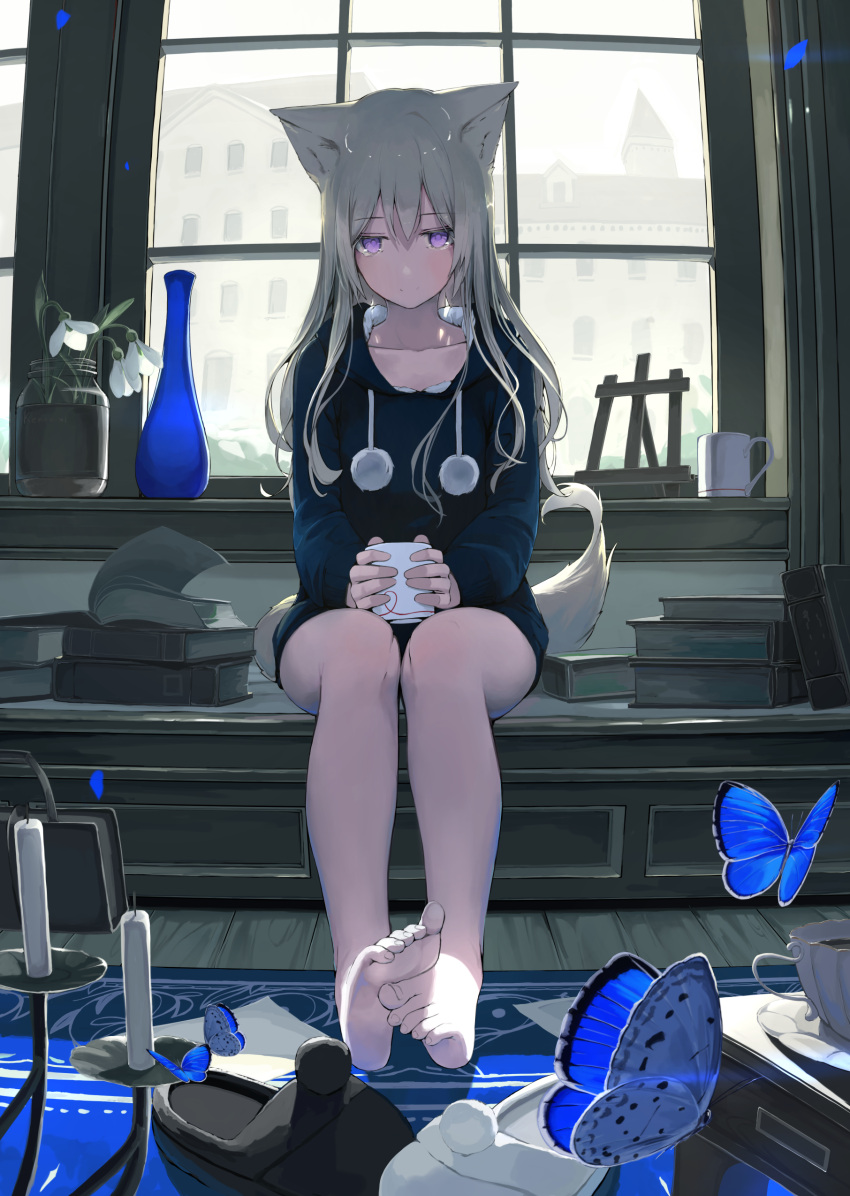 1girl absurdres animal_ears bangs bare_legs barefoot black_footwear black_hoodie blush book book_stack bug building butterfly candle carpet closed_mouth coffee_mug collarbone cup eyebrows_visible_through_hair feet full_body grey_hair highres holding holding_cup hood hood_down indoors insect jar long_hair long_sleeves mikisai mug no_pants open_book original plant pom_pom_(clothes) potted_plant sitting slippers slippers_removed smile soil solo tail teacup vase violet_eyes white_footwear window wooden_floor