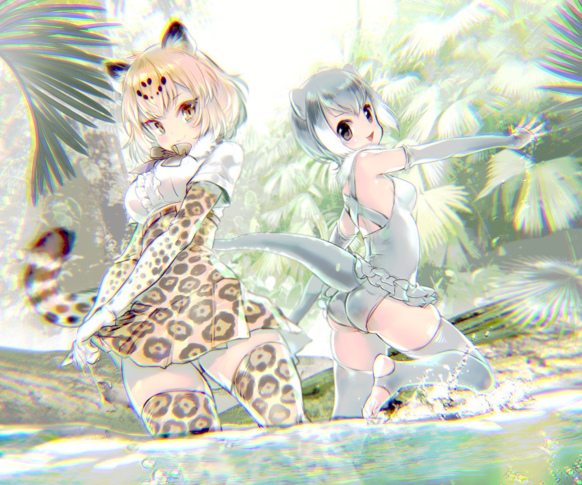 2girls animal_ears animal_print armpits ass ass_visible_through_thighs back bangs bare_shoulders black_hair bow bowtie brown_eyes chromatic_aberration closed_mouth commentary_request day dripping elbow_gloves frills fur_collar gloves grey_gloves grey_hair grey_legwear grey_swimsuit hand_up high-waist_skirt highres jaguar_(kemono_friends) jaguar_ears jaguar_print jaguar_tail kemono_friends looking_at_viewer medium_hair miniskirt multicolored_hair multiple_girls one-piece_swimsuit open_mouth orange_hair otter_ears otter_tail outdoors outstretched_arms outstretched_hand partially_visible_vulva pottsness print_gloves print_legwear print_skirt shirt short_hair skirt small-clawed_otter_(kemono_friends) smile soles splashing spread_fingers standing stirrup_legwear swimsuit tail tail_through_clothes thigh-highs toeless_legwear toes two-tone_hair wading water wet wet_clothes white_hair wringing_clothes wringing_skirt zettai_ryouiki