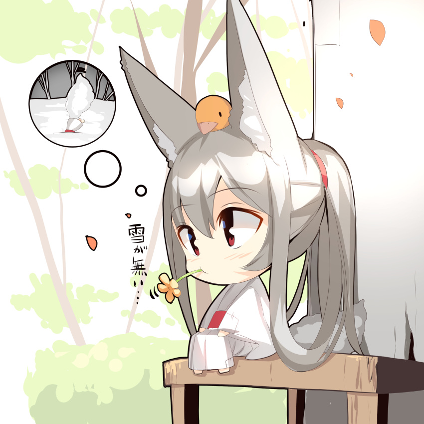 1girl absurdres animal animal_ear_fluff animal_ears animal_on_head bangs barefoot bird blush brown_flower chibi closed_mouth commentary_request eyebrows_visible_through_hair flower fox_ears fox_girl fox_tail grey_hair hair_between_eyes hair_rings highres japanese_clothes kimono long_hair long_sleeves looking_away mouth_hold obi on_head original patches petals ponytail red_eyes sash sitting snow solo stuck tail thought_bubble translation_request tree very_long_hair white_kimono wide_sleeves yuuji_(yukimimi)