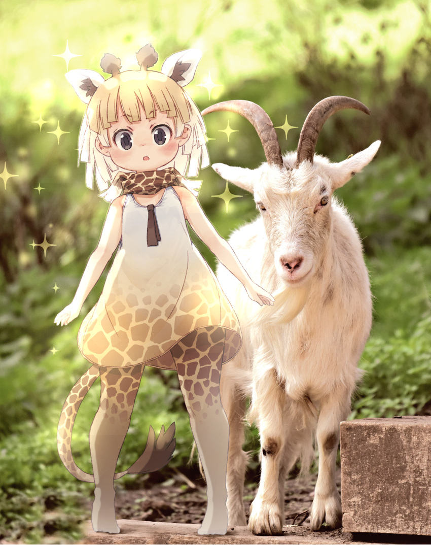 1girl adapted_costume alternate_hairstyle animal_ears bare_shoulders blonde_hair blue_eyes blush brown_hair brown_neckwear child dress extra_ears eyebrows_visible_through_hair full_body giraffe_ears giraffe_girl giraffe_horns giraffe_print giraffe_tail goat gradient gradient_dress gradient_legwear highres kemono_friends kolshica multicolored_hair necktie no_shoes photo_background print_dress print_legwear print_neckwear reticulated_giraffe_(kemono_friends) scarf short_hair sleeveless sleeveless_dress solo sparkle thigh-highs white_dress white_legwear younger