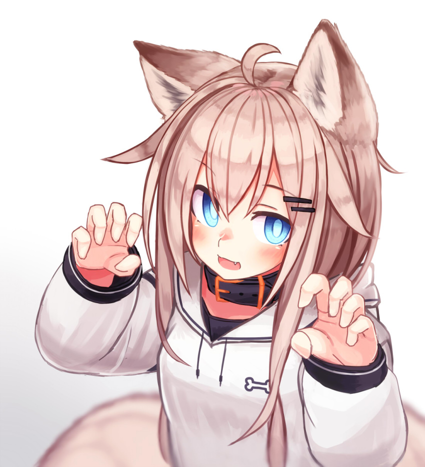 1girl :d animal_ears blue_eyes claw_pose dog_ears dog_tail fang highres hood hood_down hoodie light_brown_hair long_hair long_sleeves looking_at_viewer open_mouth original pet_collar reitou_mikan simple_background smile tail white_background