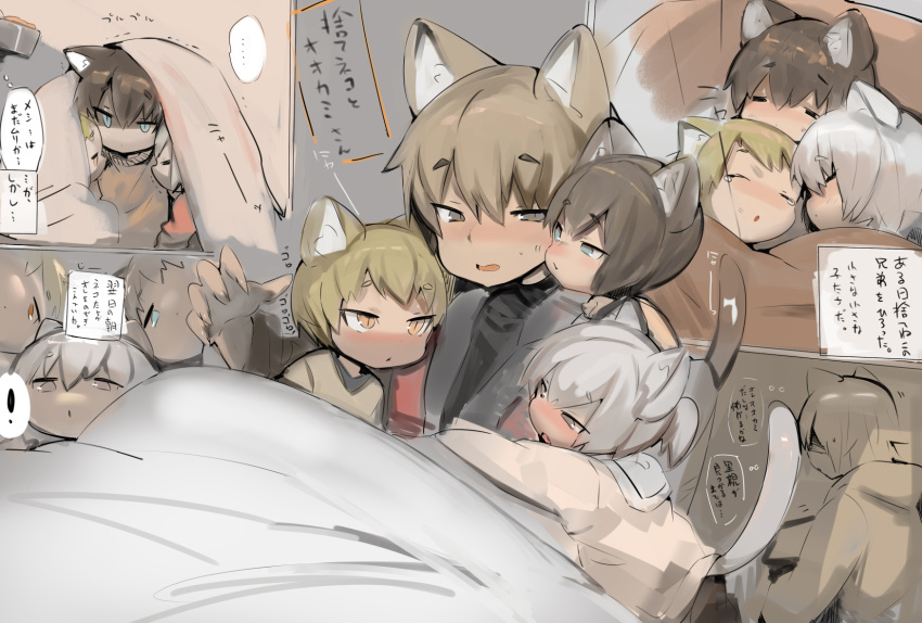 4boys animal_ears blonde_hair blue_eyes blush brown_hair cat_boy cat_ears cat_tail closed_eyes eye_contact eyebrows_visible_through_hair grey_eyes grey_hair hair_between_eyes highres looking_at_another multiple_boys open_mouth original shirokujira sleeping tail tears wolf_boy wolf_ears yellow_eyes