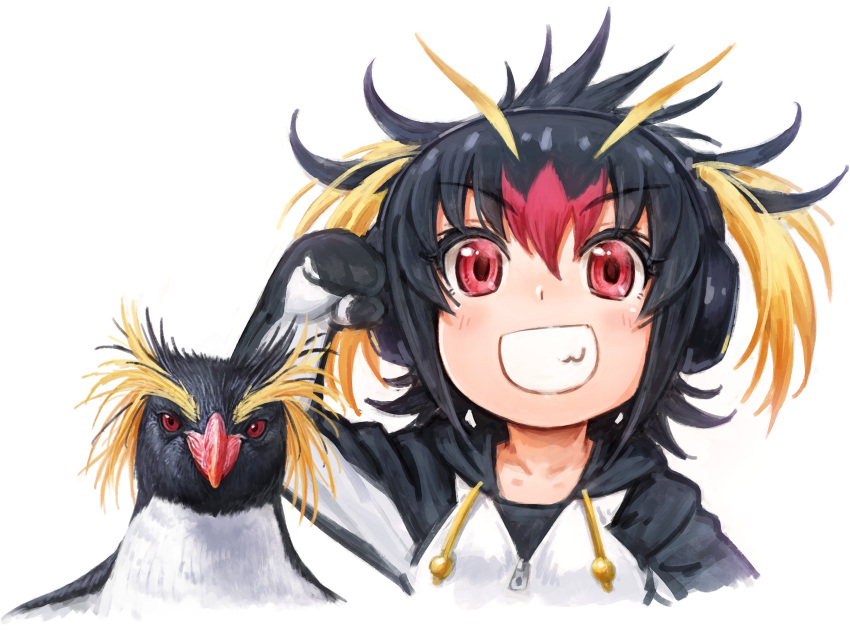 1girl :d animal bird black_hair blonde_hair collarbone commentary_request drawstring eyebrows_visible_through_hair grin hand_up headphones highres hood hood_down hoodie kemono_friends lain looking_at_viewer multicolored_hair open_mouth penguin red_eyes redhead rockhopper_penguin rockhopper_penguin_(kemono_friends) short_hair simple_background smile teeth twintails v-shaped_eyebrows white_background