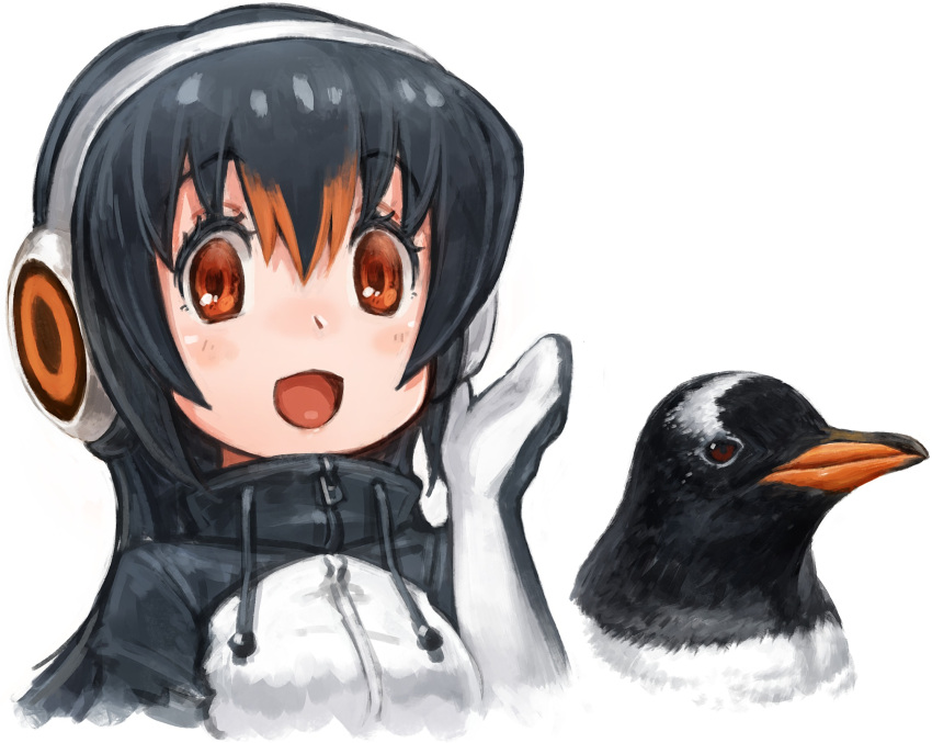 1girl :d animal bangs bird black_hair drawstring gentoo_penguin gentoo_penguin_(kemono_friends) hair_between_eyes hand_up headphones highres kemono_friends lain long_hair looking_at_viewer multicolored_hair open_mouth orange_hair penguin red_eyes simple_background smile two-tone_hair white_background zipper_pull_tab