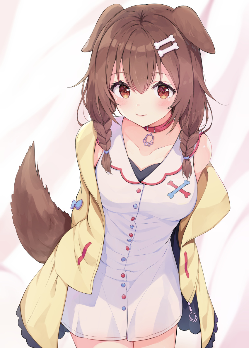 1girl absurdres animal_ears arms_behind_back bangs bare_shoulders blush bone_hair_ornament braid breasts brown_eyes brown_hair cartoon_bone cloa collar collarbone commentary_request dog_ears dog_girl dog_tail dress eyebrows_visible_through_hair hair_between_eyes hair_over_shoulder highres hololive inugami_korone jacket leaning_forward long_hair looking_at_viewer off_shoulder open_clothes open_jacket racchi. red_collar sleeveless sleeveless_dress small_breasts smile solo tail tail_raised twin_braids virtual_youtuber white_dress yellow_jacket