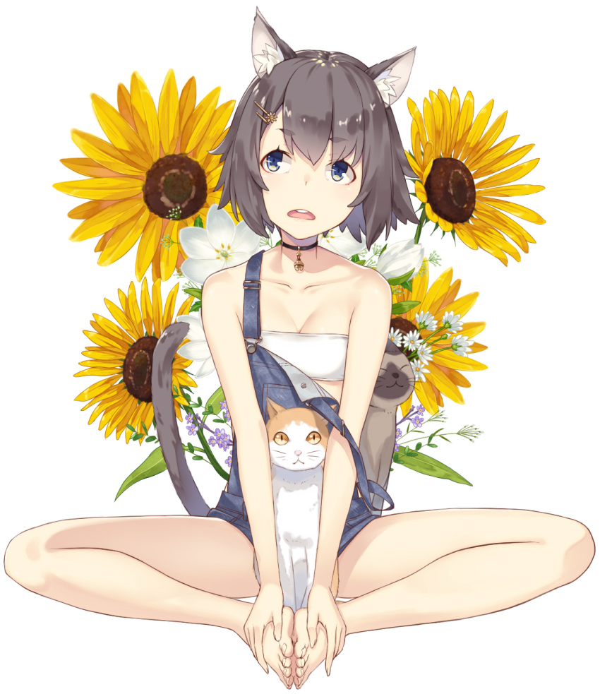 1girl animal_ears bare_legs bare_shoulders bell bell_collar black_hair blue_eyes bra cat cat_ears cat_girl cat_tail choker collar collarbone eyebrows_visible_through_hair flower highres kimura_(ykimu) open_mouth original overalls short_hair simple_background sitting strap_slip strapless strapless_bra sunflower tail underwear