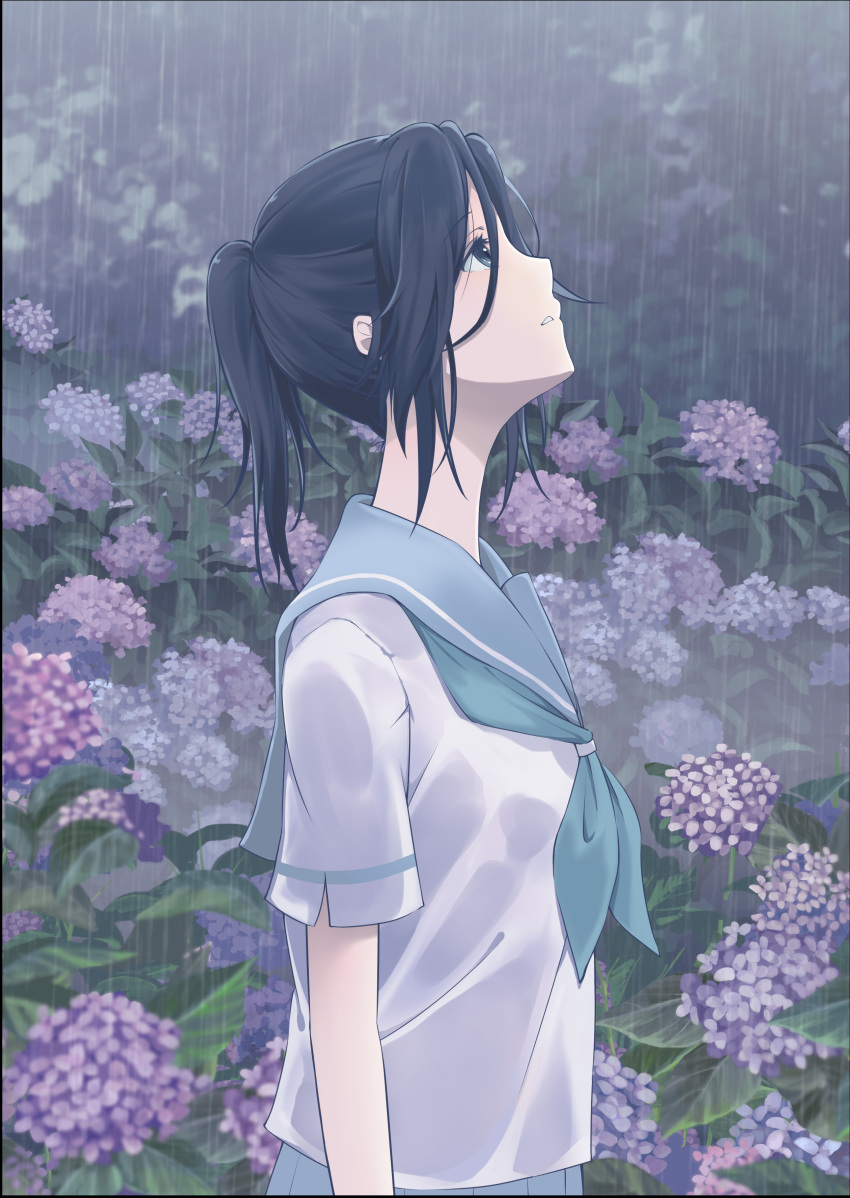 1girl absurdres black_eyes black_hair blue_neckwear blue_sailor_collar blue_skirt collared_shirt flower from_side hibike!_euphonium highres hydrangea kasaki_nozomi liz_to_aoi_tori long_hair long_neck looking_up maydcafe outdoors parted_lips pleated_skirt ponytail rain sailor_collar sailor_shirt school_uniform serafuku shirt sidelocks skirt solo upper_body wet wet_clothes wet_shirt white_shirt