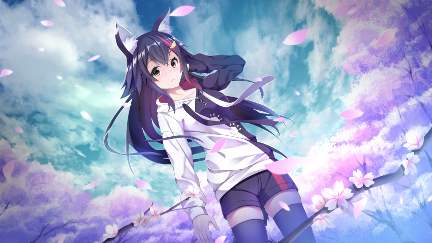 1girl absurdres animal_ears black_hair black_legwear cherry_blossoms hand_in_hair highres hololive hood hood_down hoodie huge_filesize long_hair ookami_mio petals redhead shorts siyuan9629 tail thigh-highs virtual_youtuber wind wolf_ears wolf_tail yellow_eyes