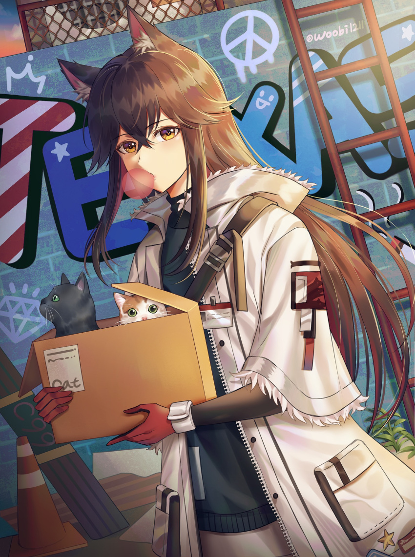 1girl alternate_costume animal_ear_fluff animal_ears arknights bangs black_hair box brown_eyes bubble_blowing cat character_name coat fur-trimmed_coat fur_trim gloves graffiti green_sweater grey_skirt hair_between_eyes highres holding holding_box long_hair long_sleeves looking_at_viewer open_clothes open_coat outdoors red_gloves redhead skirt snap-fit_buckle solo sunset sweater texas_(arknights) turtleneck turtleneck_sweater ubi_(ekdus6080) white_coat wolf_ears wrist_cuffs
